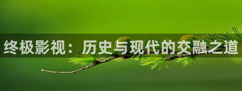 达达兔神马第九影院