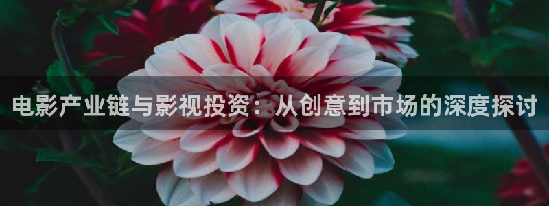 达达兔app影院