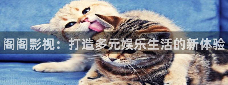 达达兔影院电视剧免费观看完整版