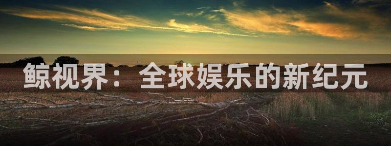 达达兔电影网