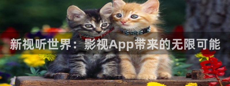 神马电影院达达兔