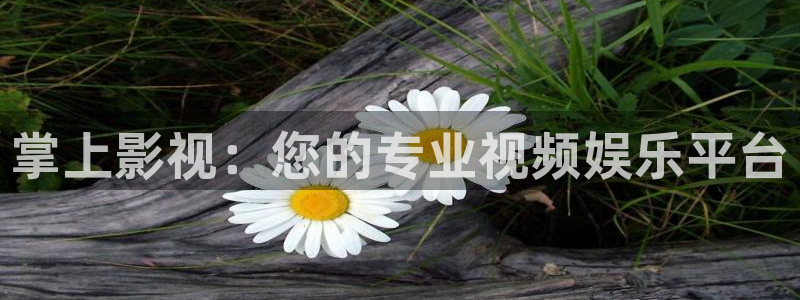 达达兔影视院