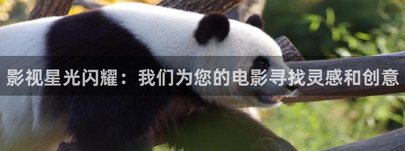 达达兔手机版免费看电影
