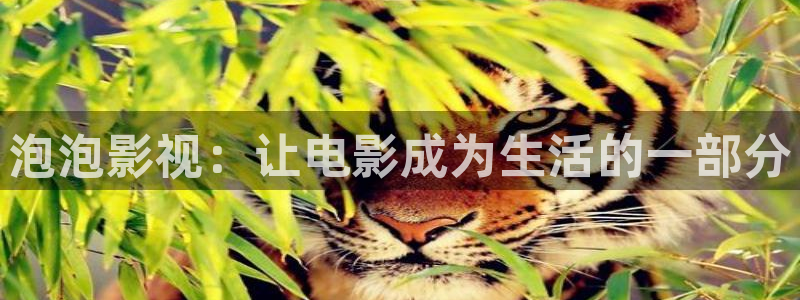 第九影院达达兔